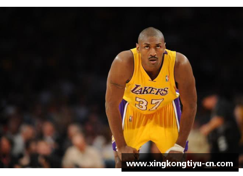 NBA史上最强壮球员：力量之王的传奇
